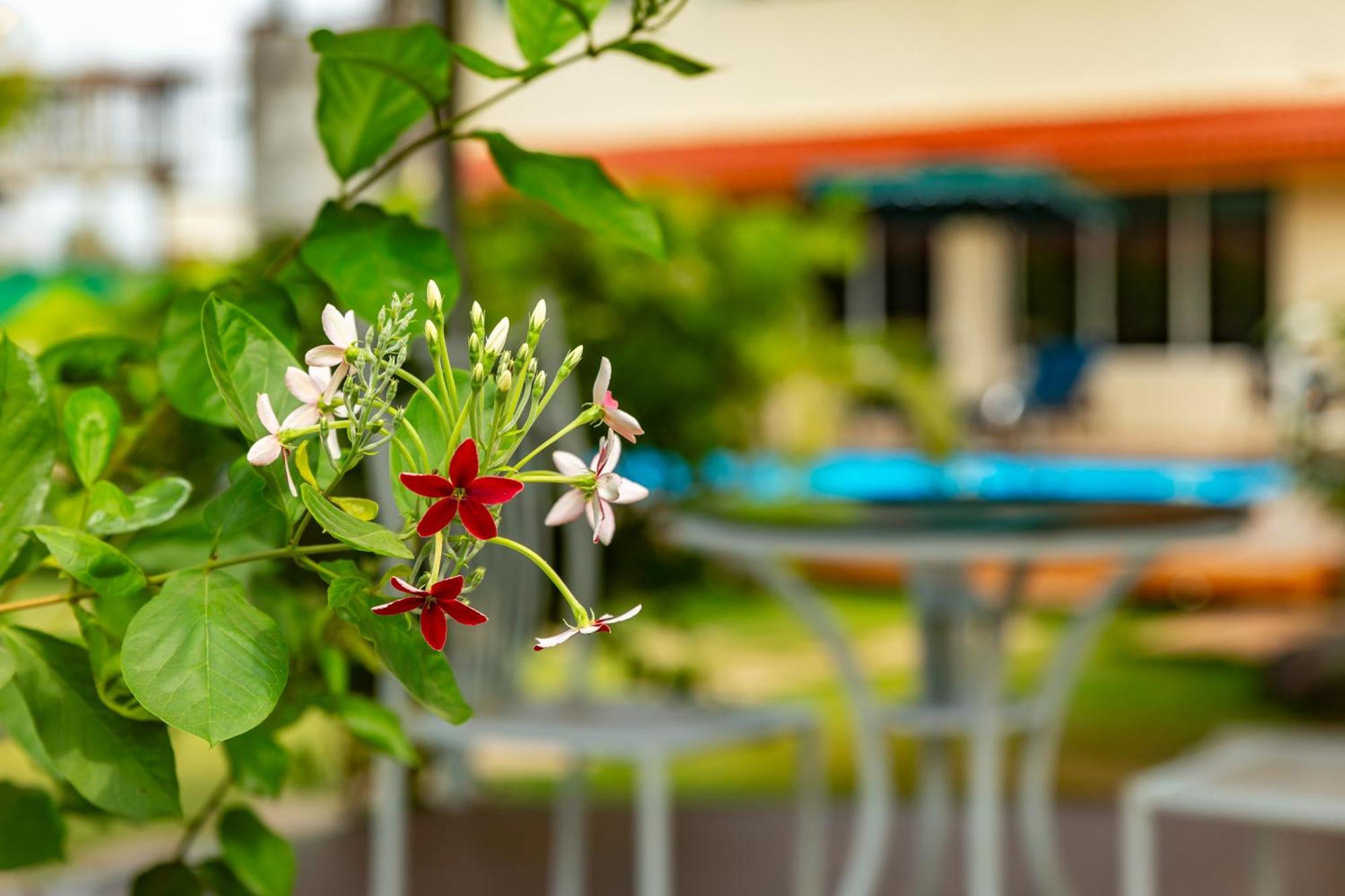 Casa Amora Lonavala Exterior foto